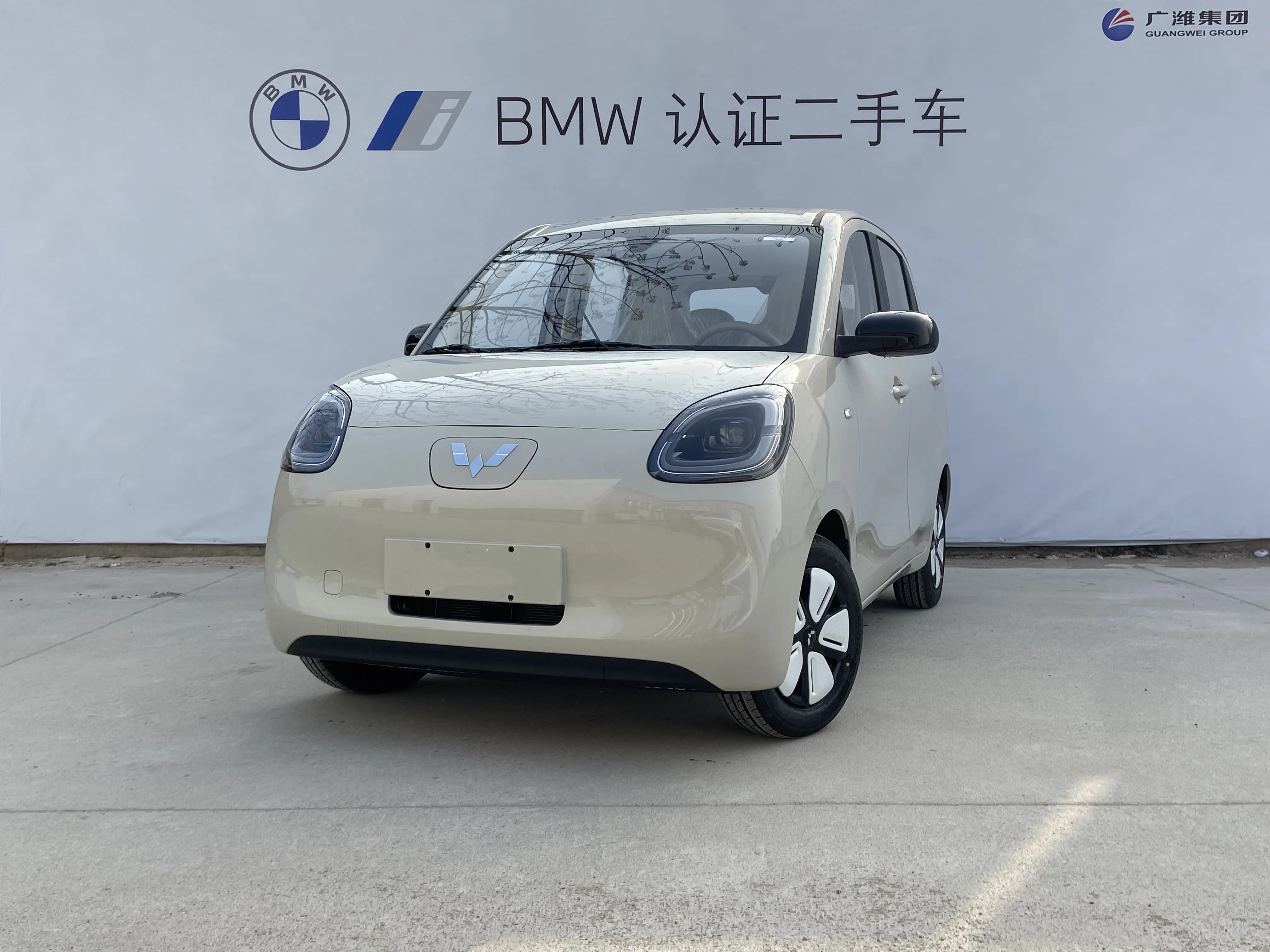 Wuling Hongguang MINIEV  из Китая