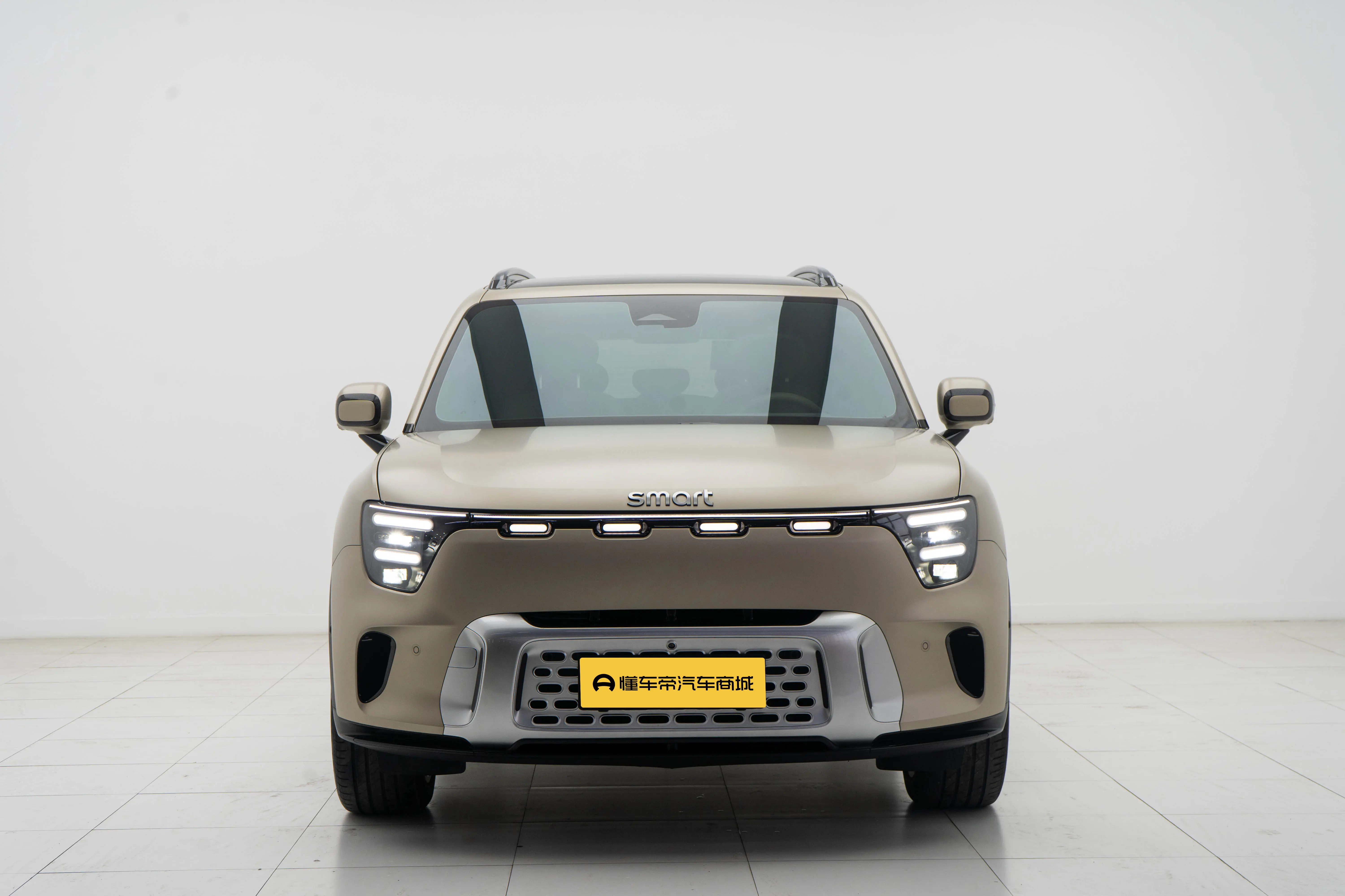 Smart Elf #5  из Китая