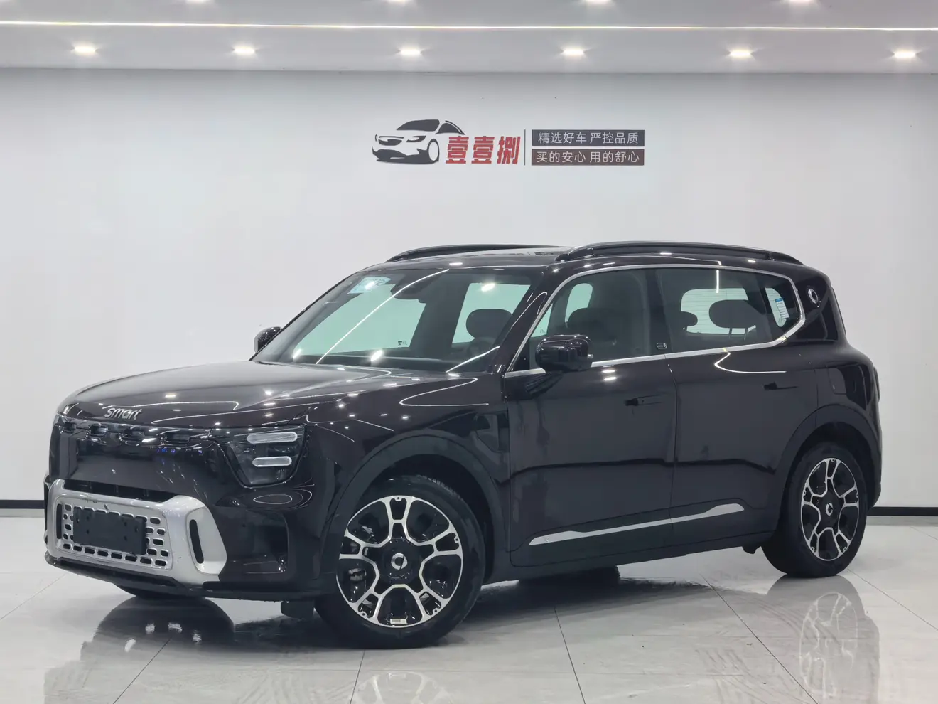 Smart Elf #5  из Китая