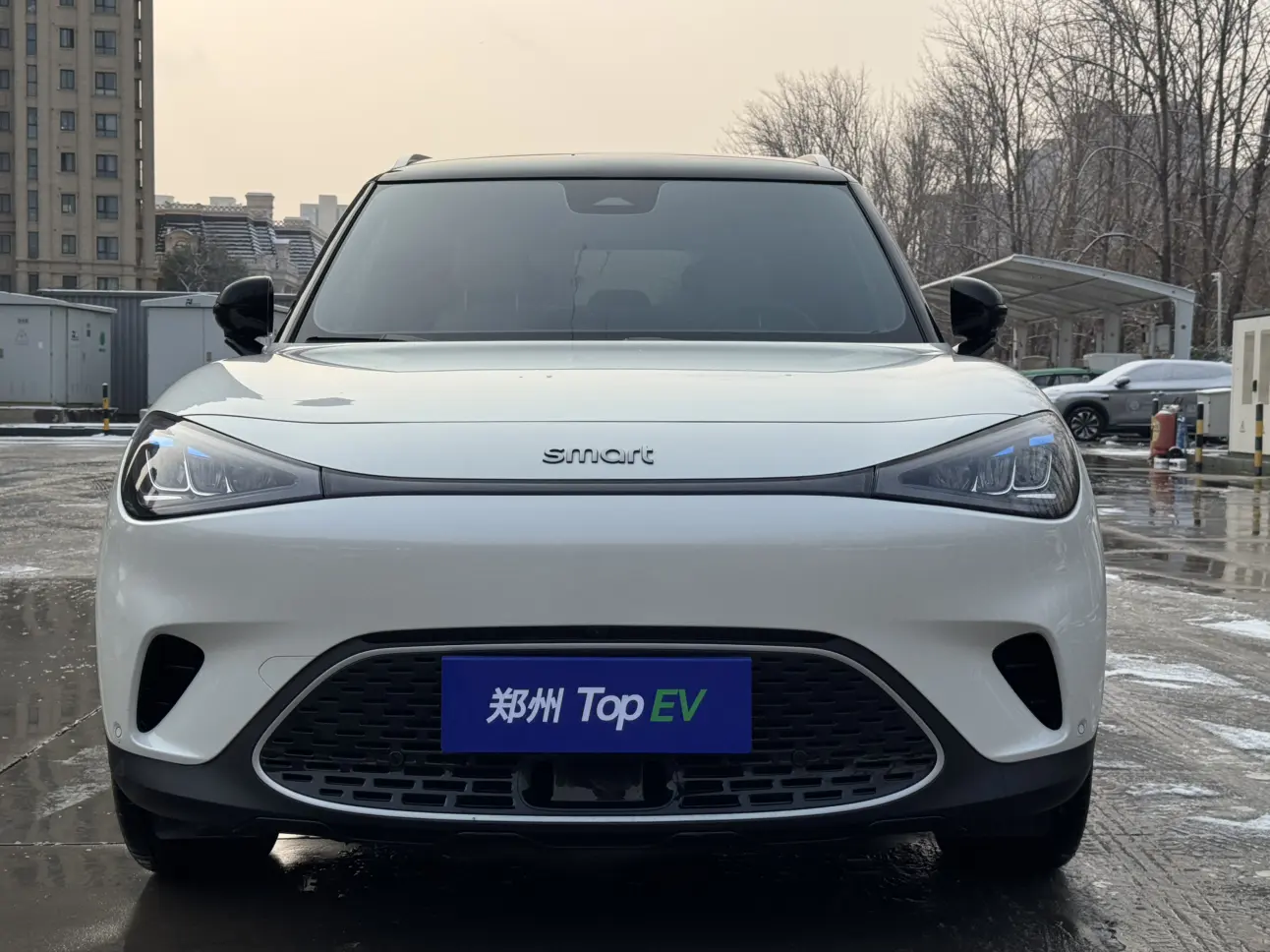 Smart elf #1  из Китая