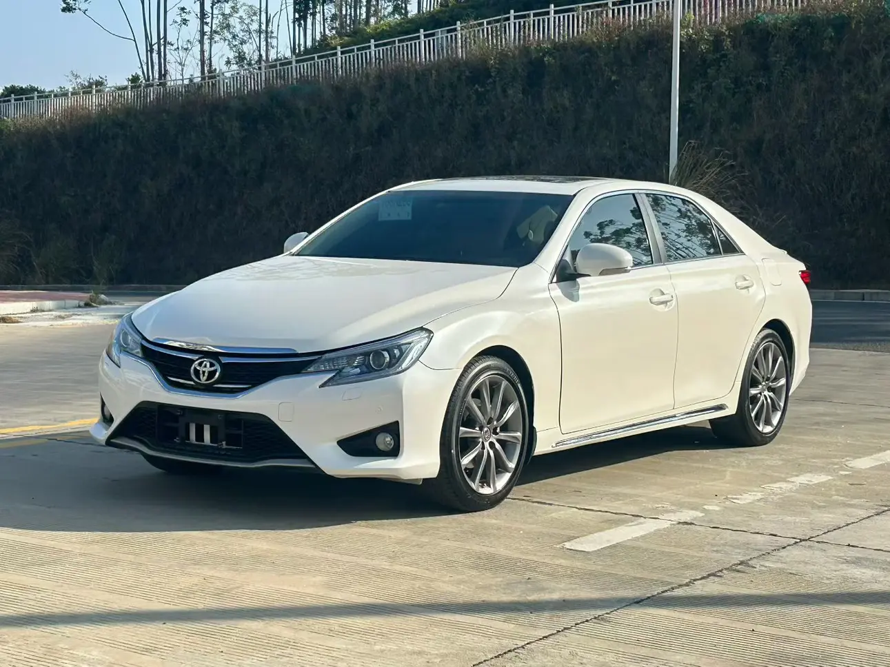 Toyota Ruizhi