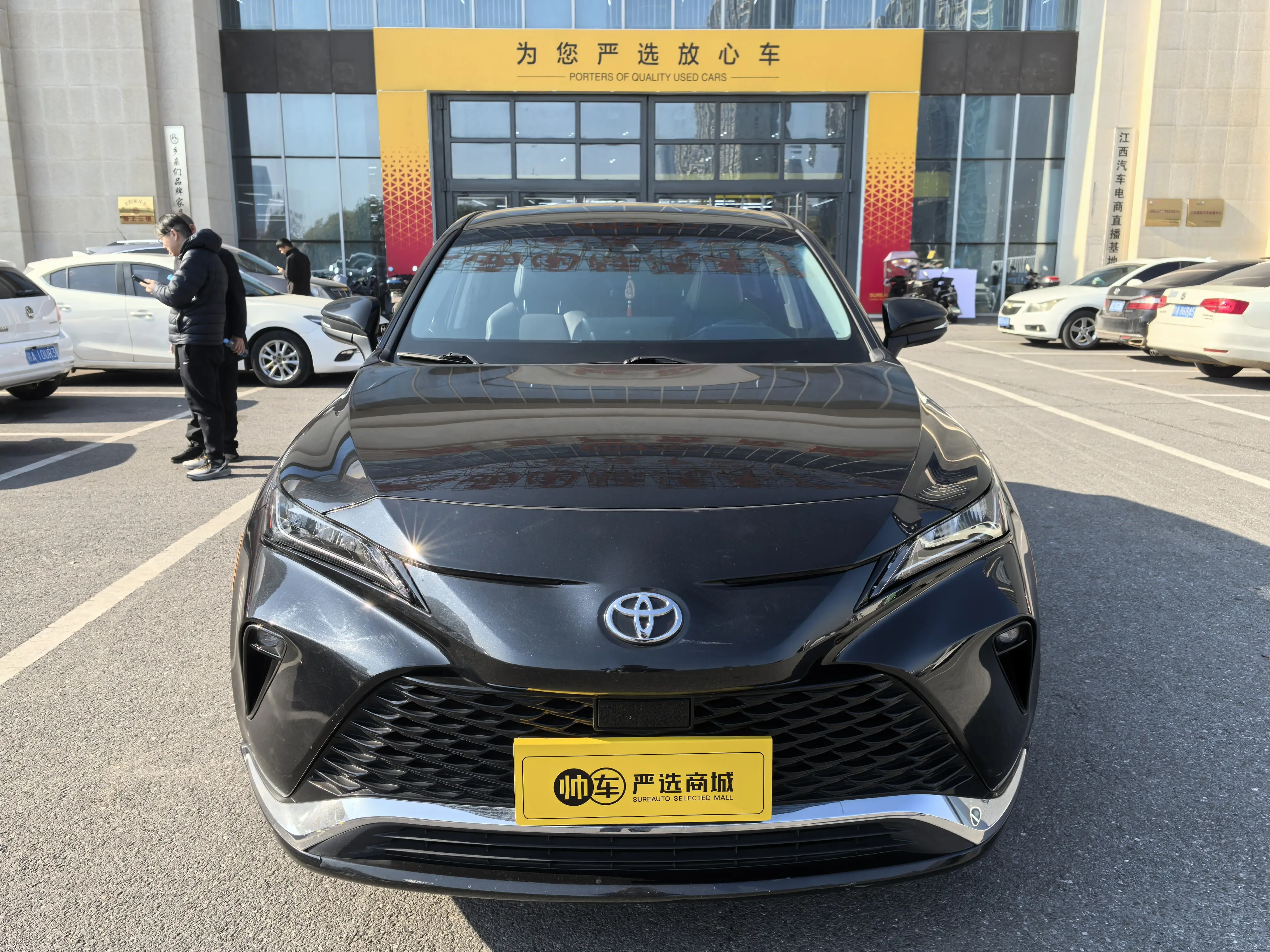 Toyota Venza (Wei Sa)  из Китая