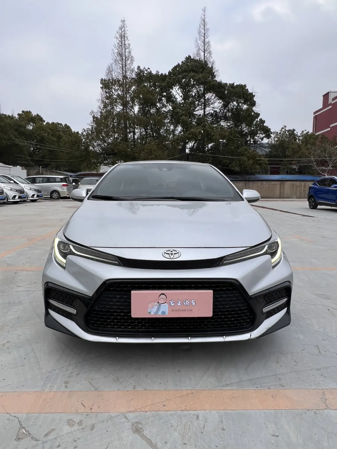 Toyota Levin (Lei Ling)  из Китая