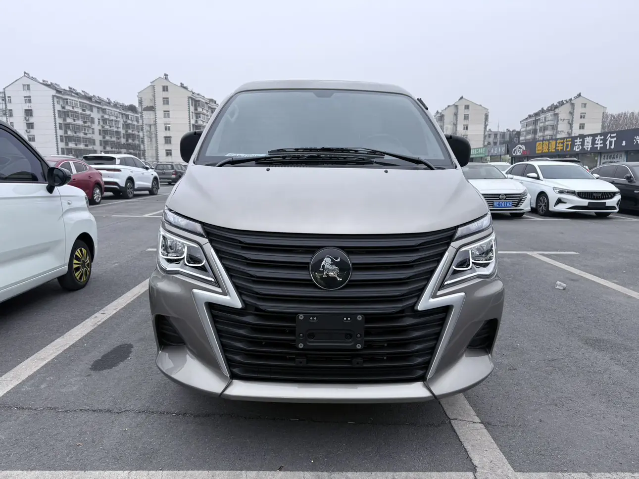 Forthing Lingzhi  из Китая