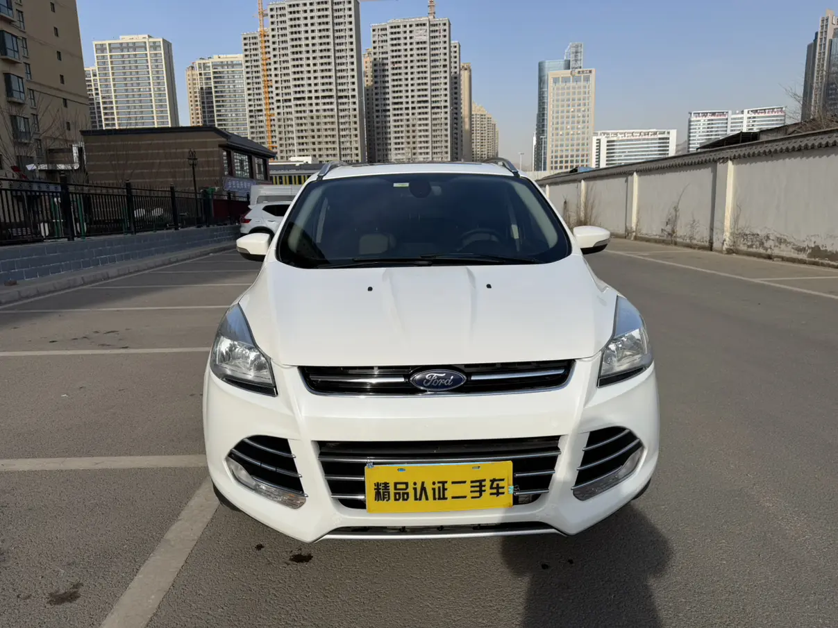 Ford Wing tiger  из Китая