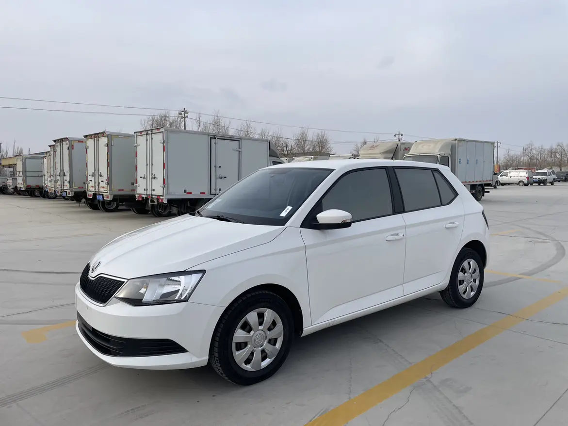 Skoda Jing Rui  из Китая