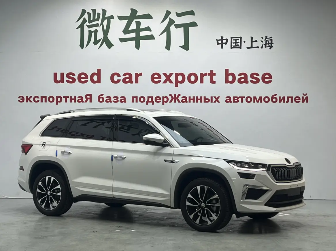 Skoda Kodiaq  из Китая