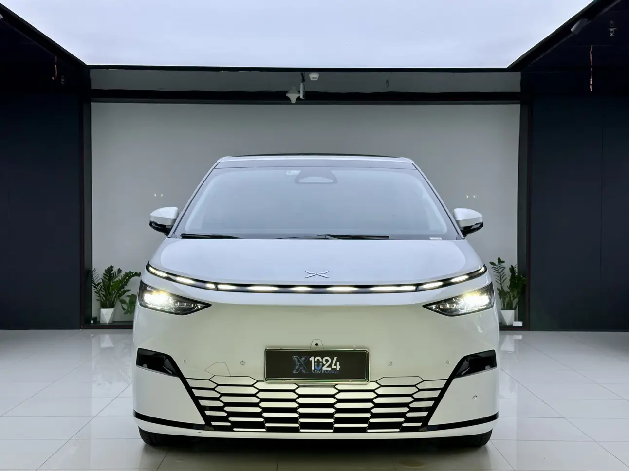 Xpeng X9  из Китая