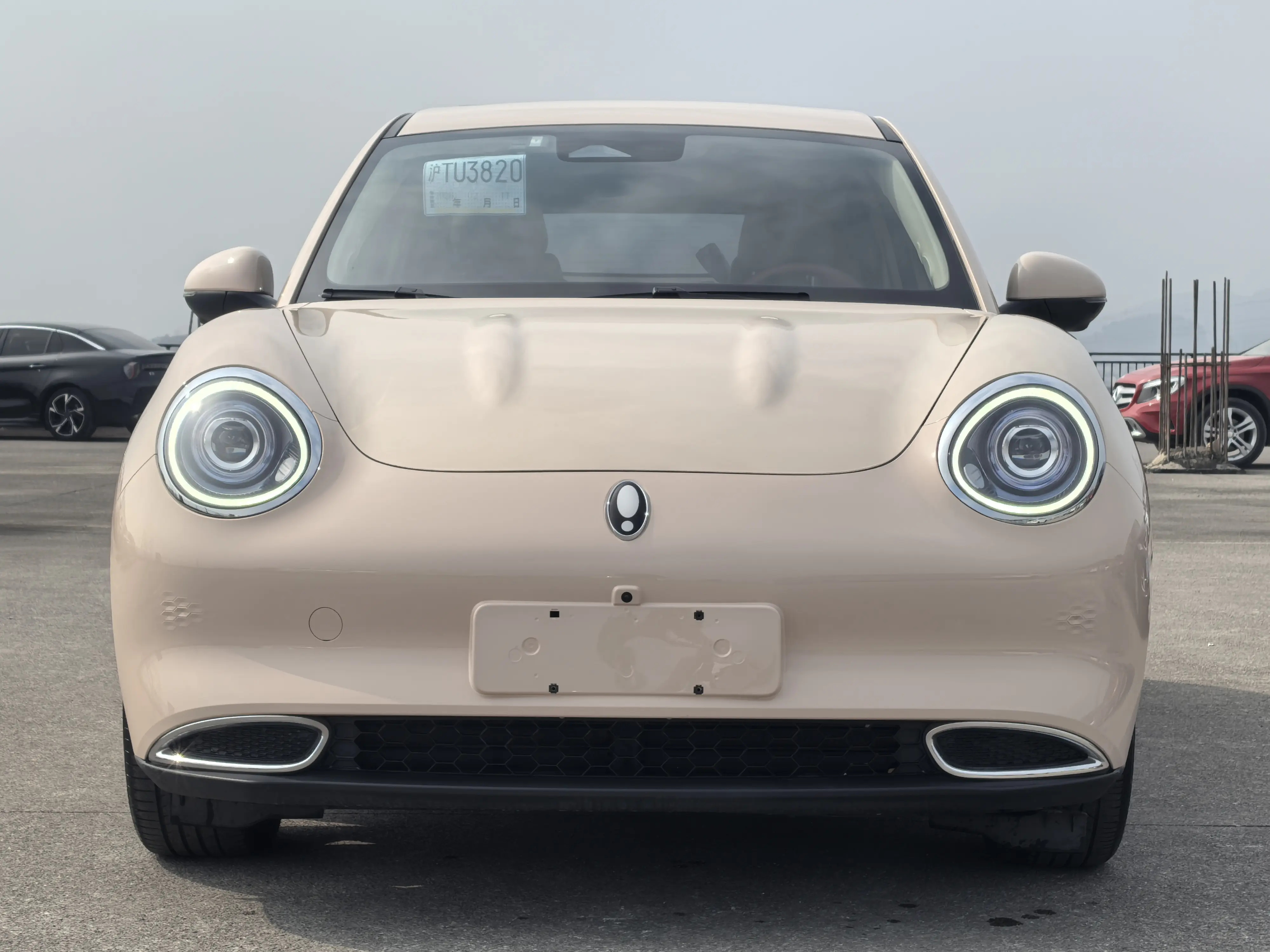 ORA Euler good cat  из Китая