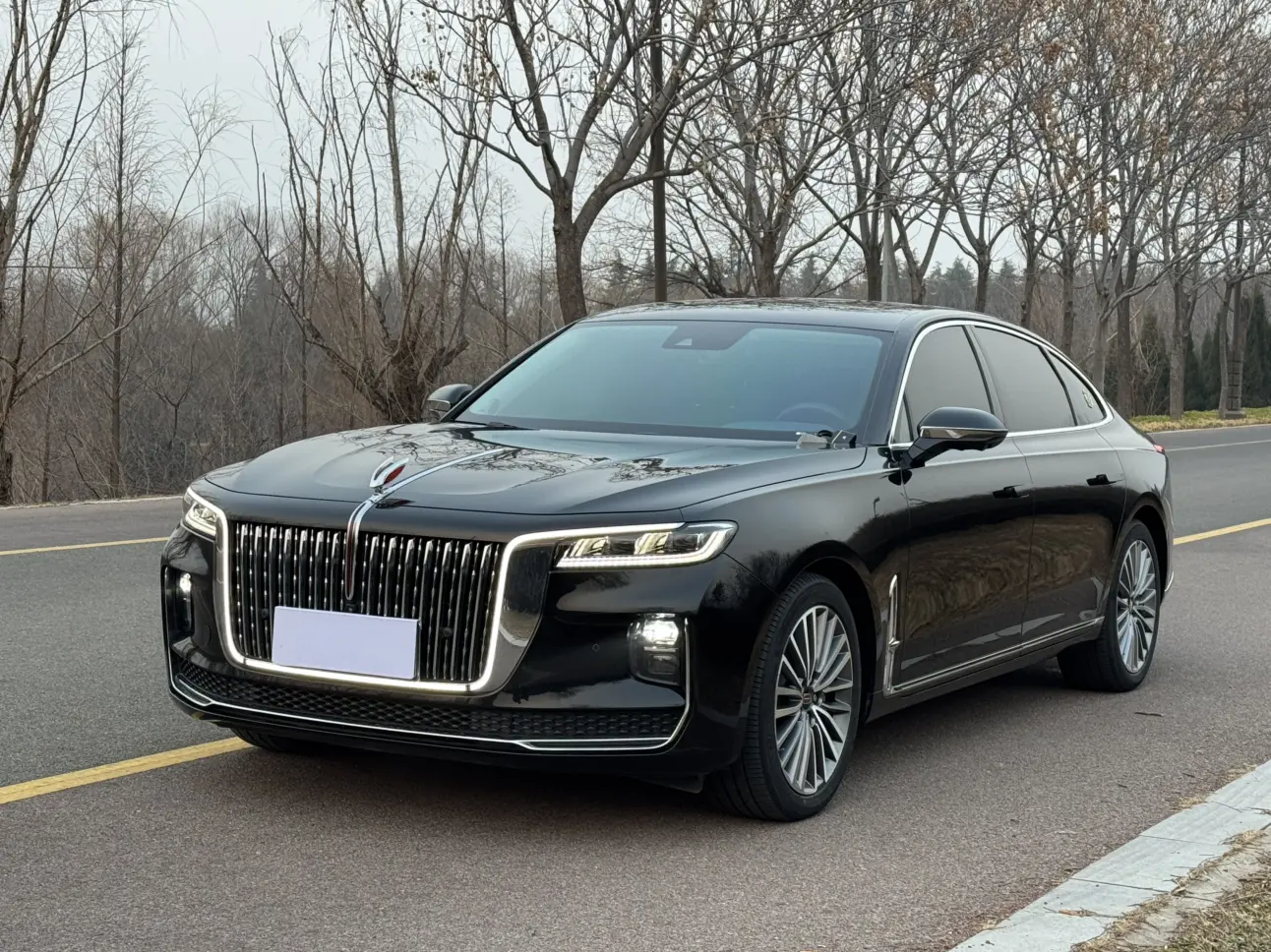 Hongqi H9  из Китая