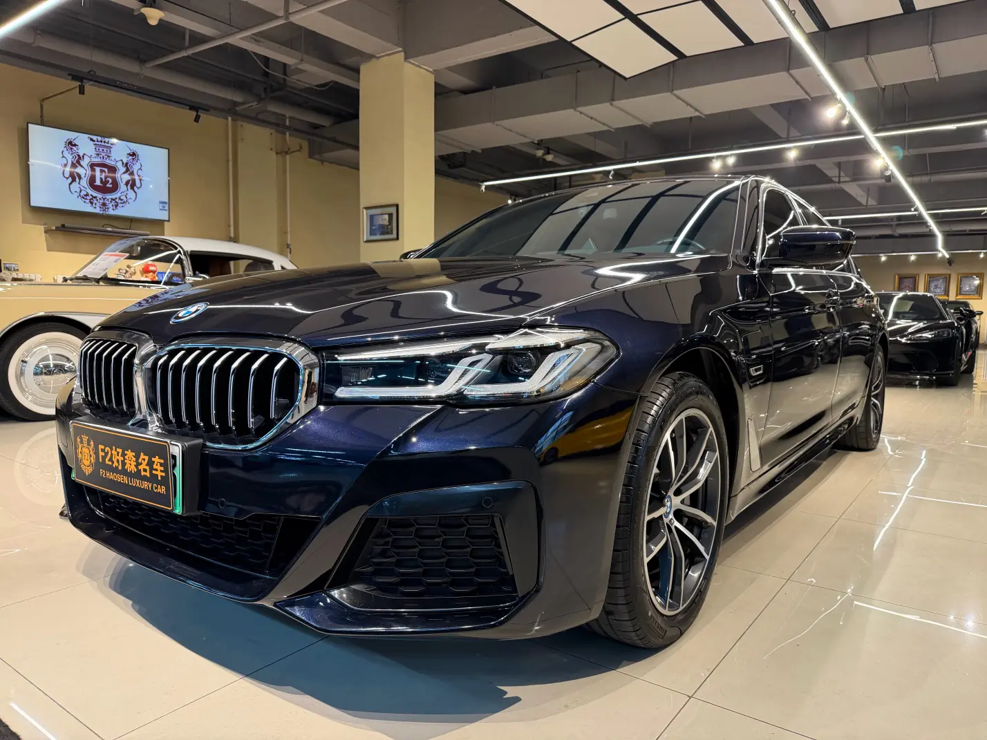 BMW 5 Series PHEV