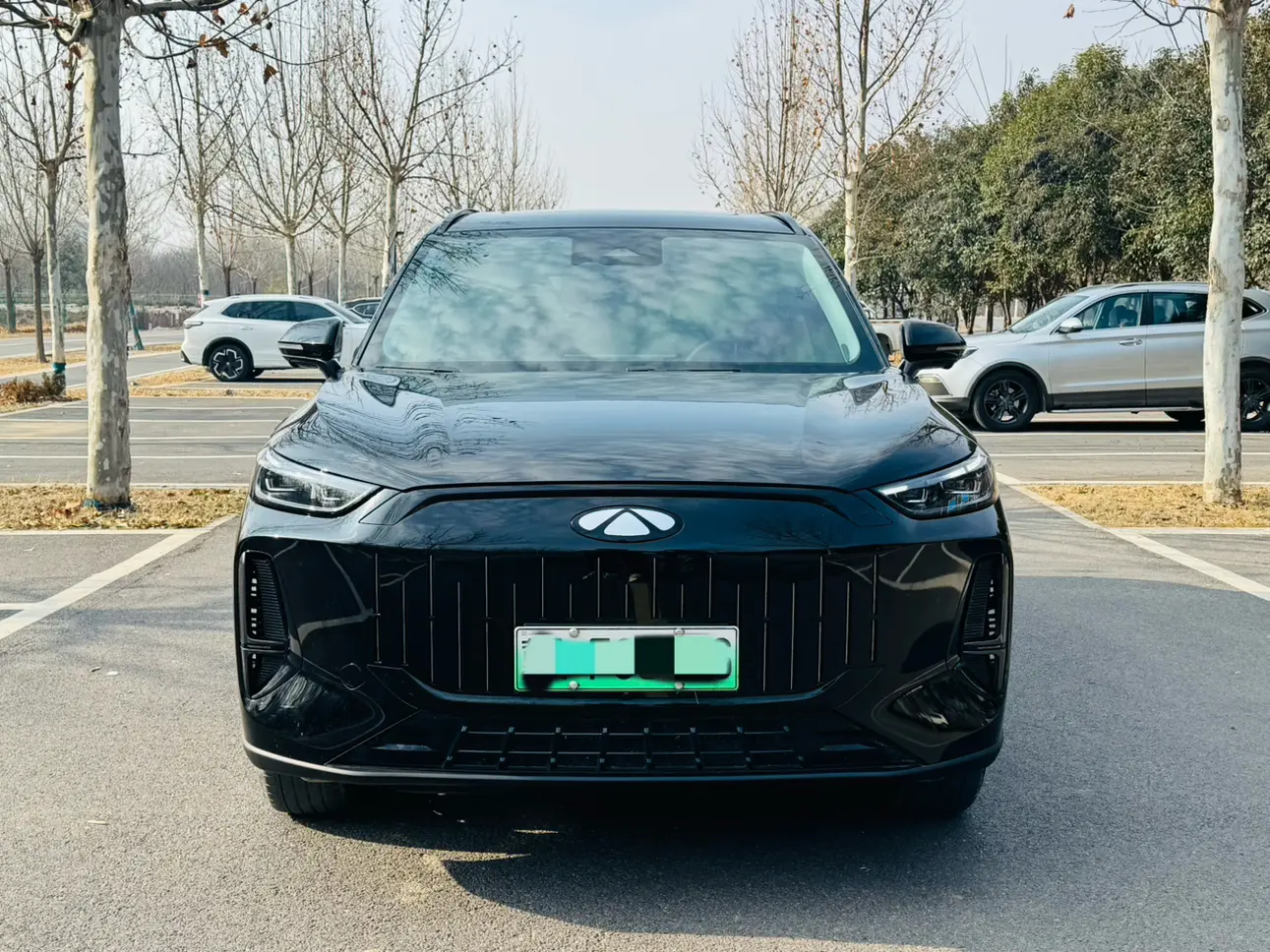 Chery Fengyun T9  из Китая