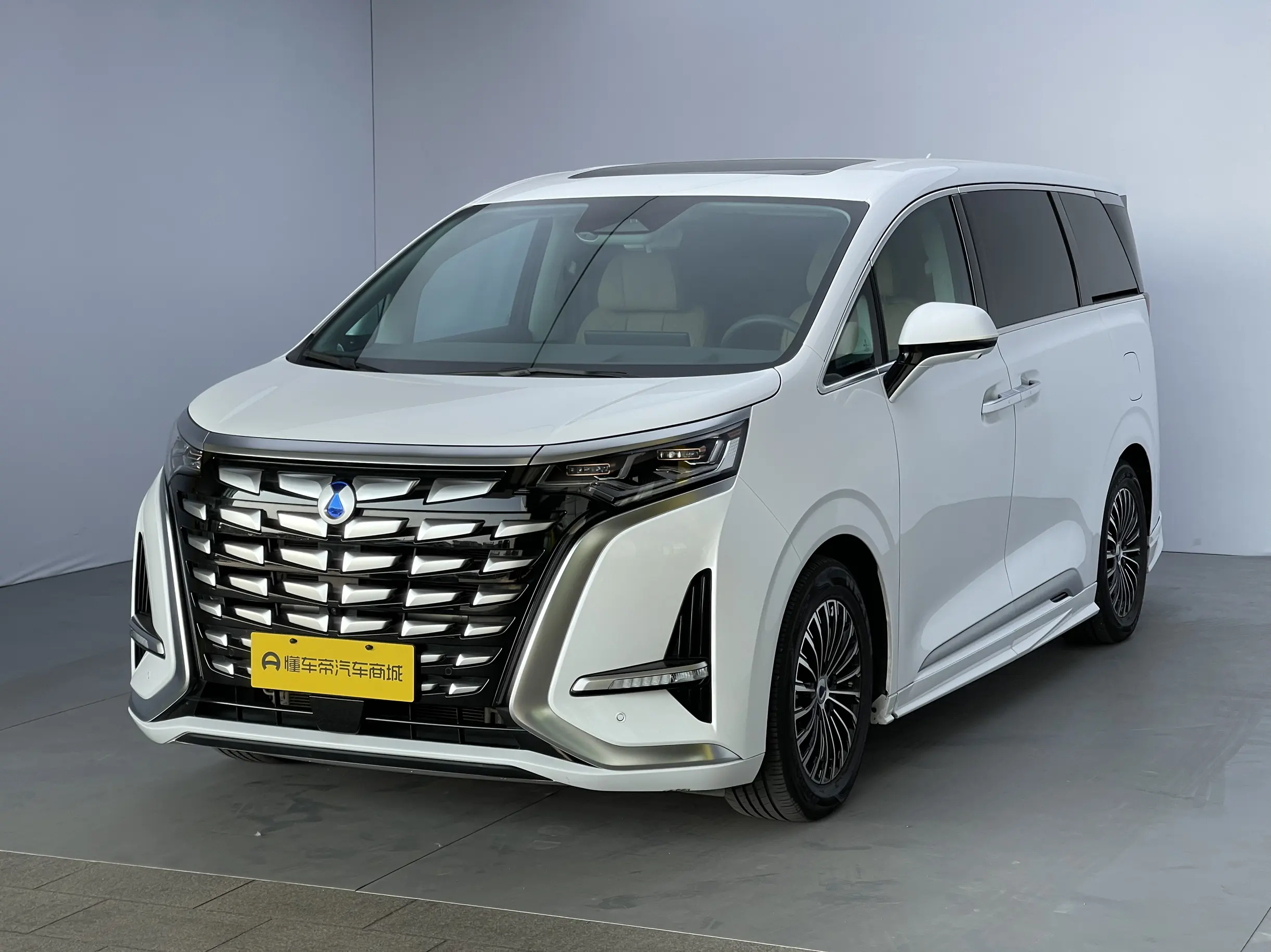 Denza D9 DM  из Китая