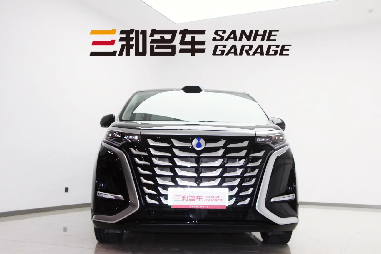 Denza D9 DM  из Китая