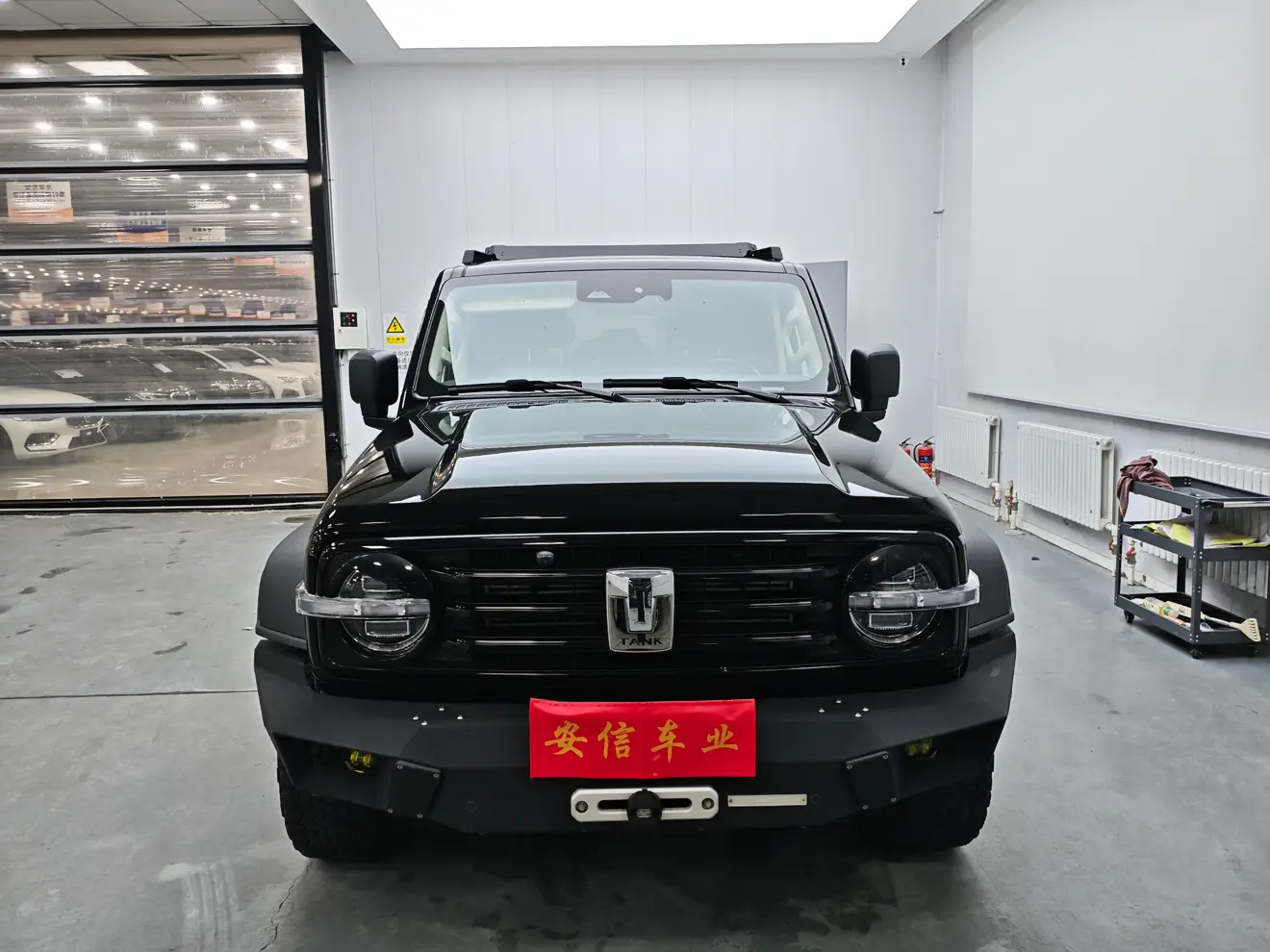 Tank 300  из Китая