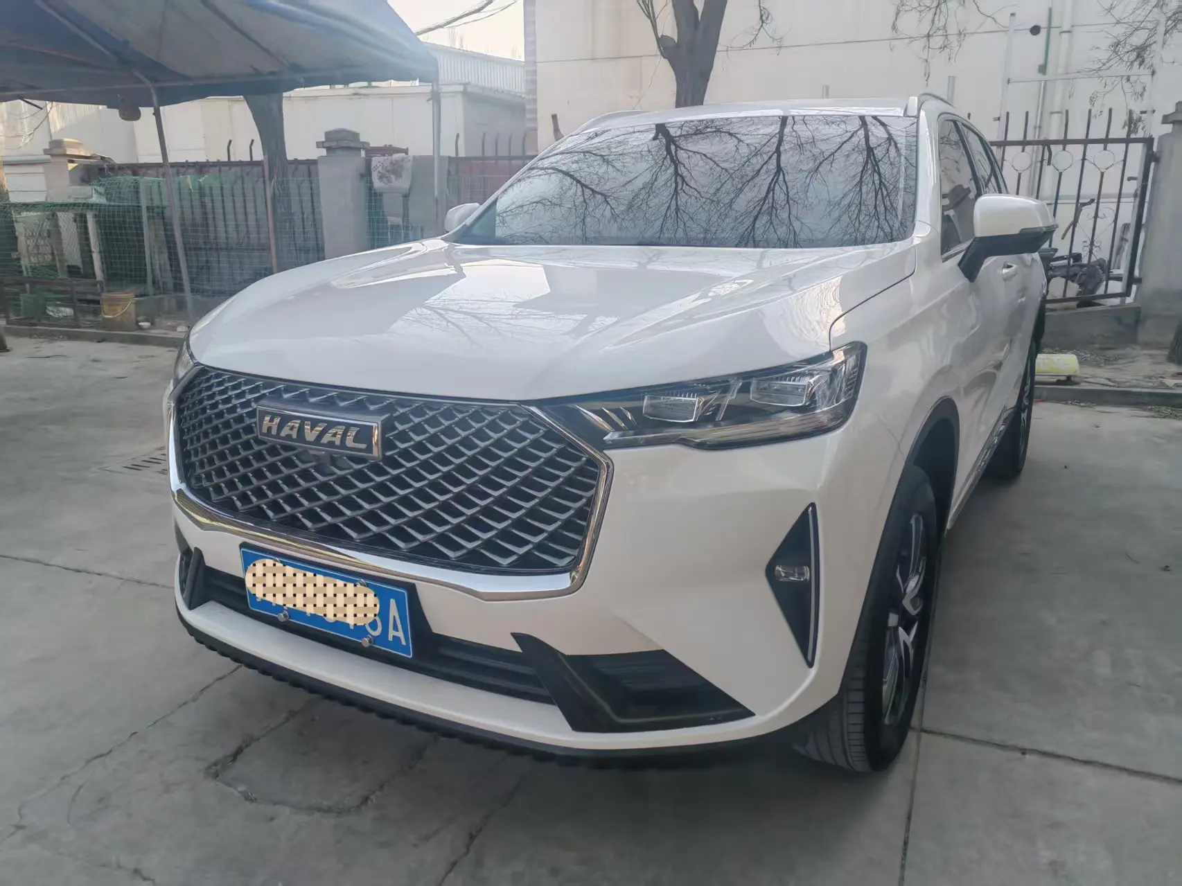 Haval H6  из Китая