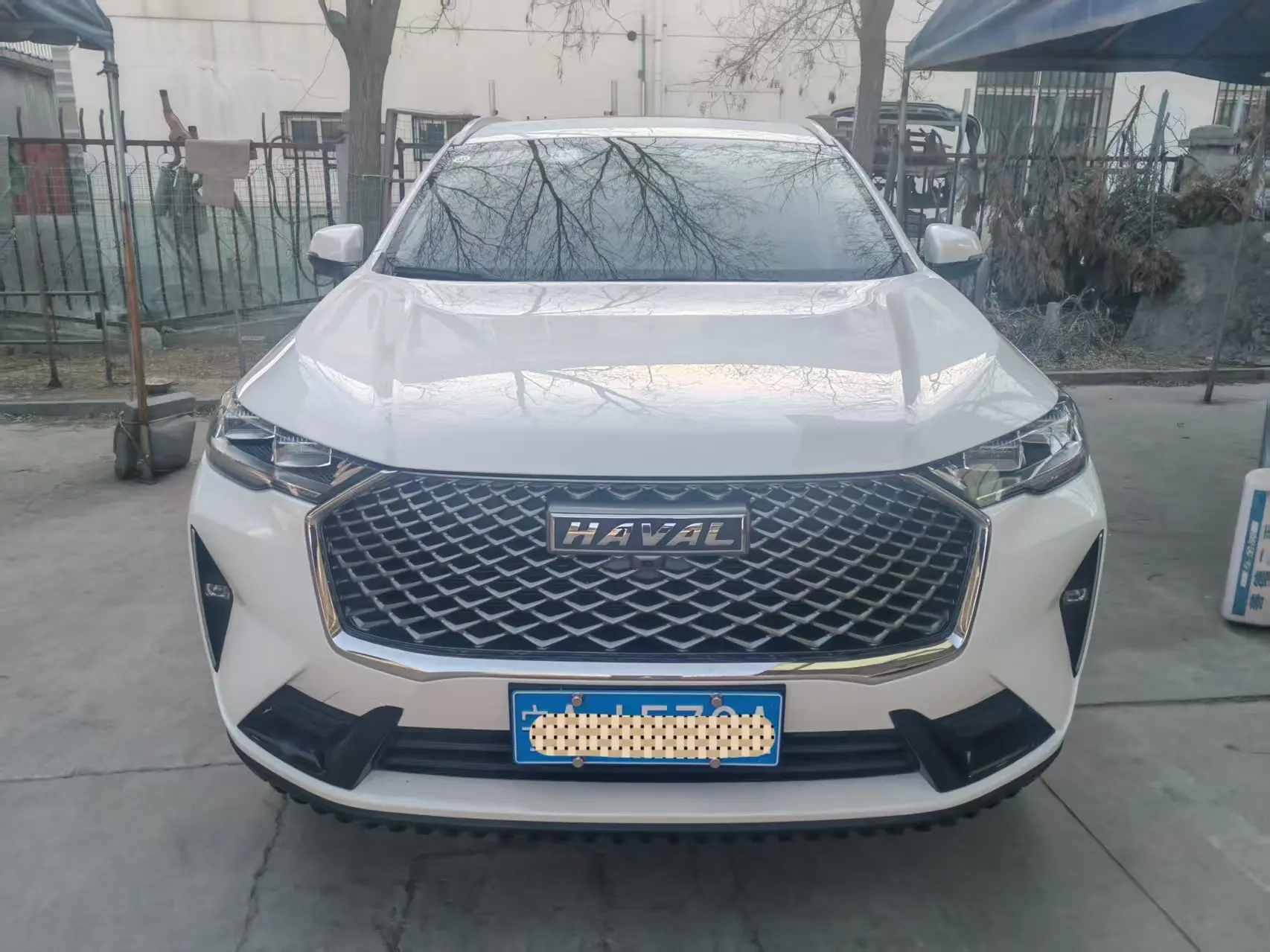 Haval H6  из Китая