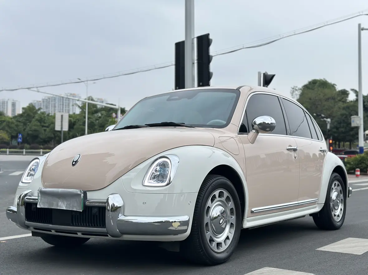 ORA Euler ballet cat  из Китая