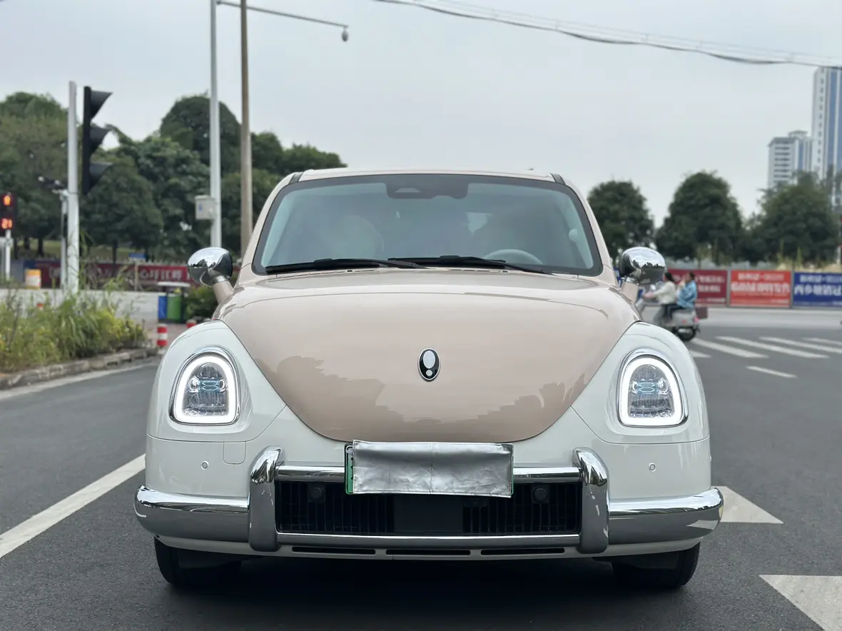 ORA Euler ballet cat  из Китая