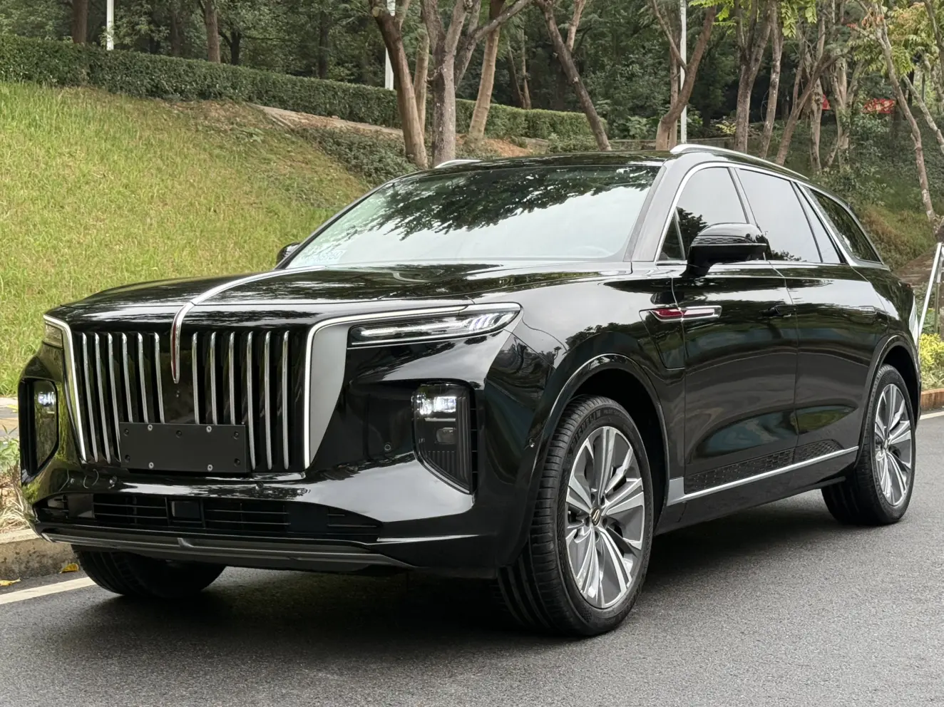 Hongqi E-HS9  из Китая