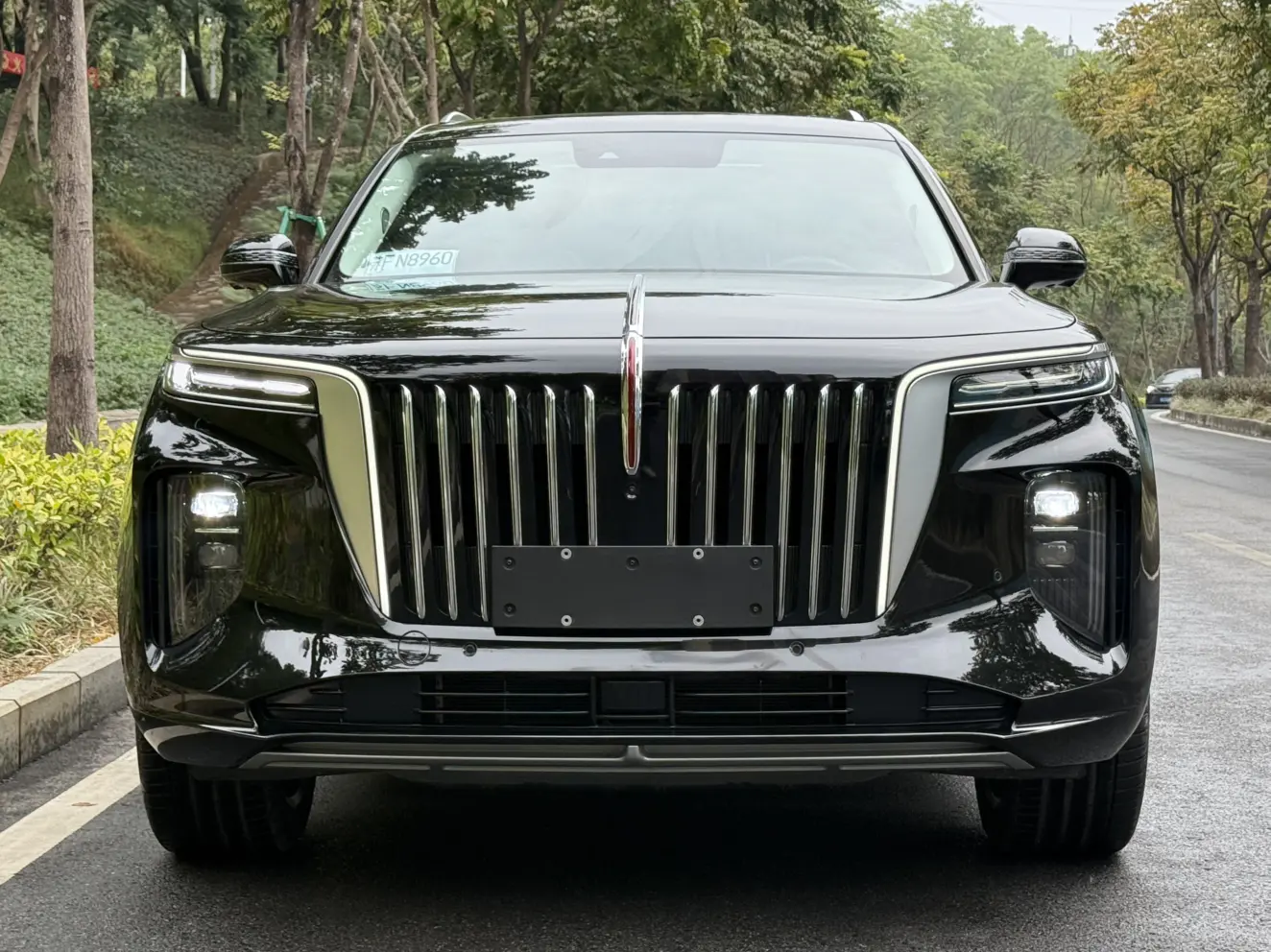 Hongqi E-HS9  из Китая