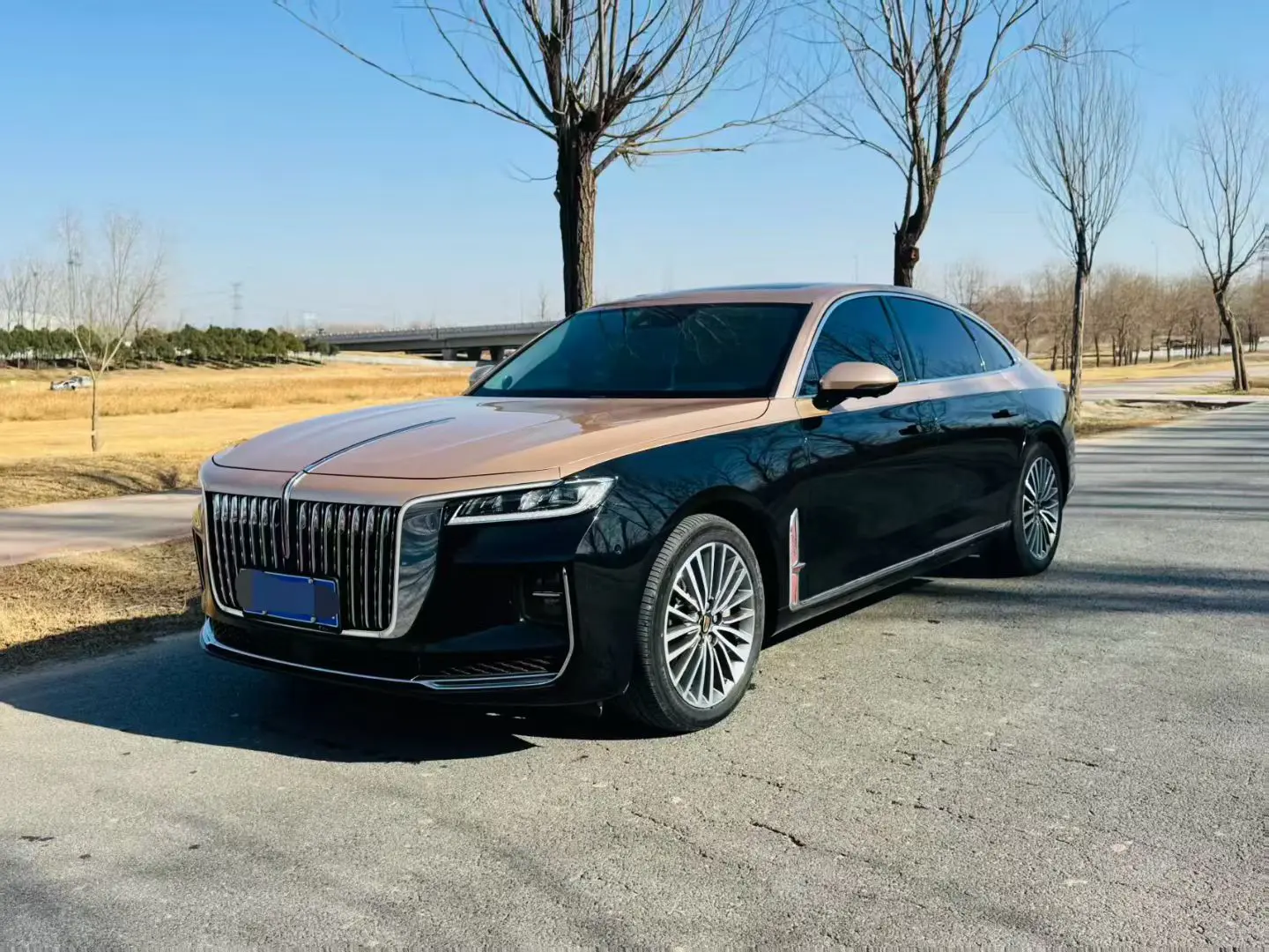 Hongqi H9  из Китая