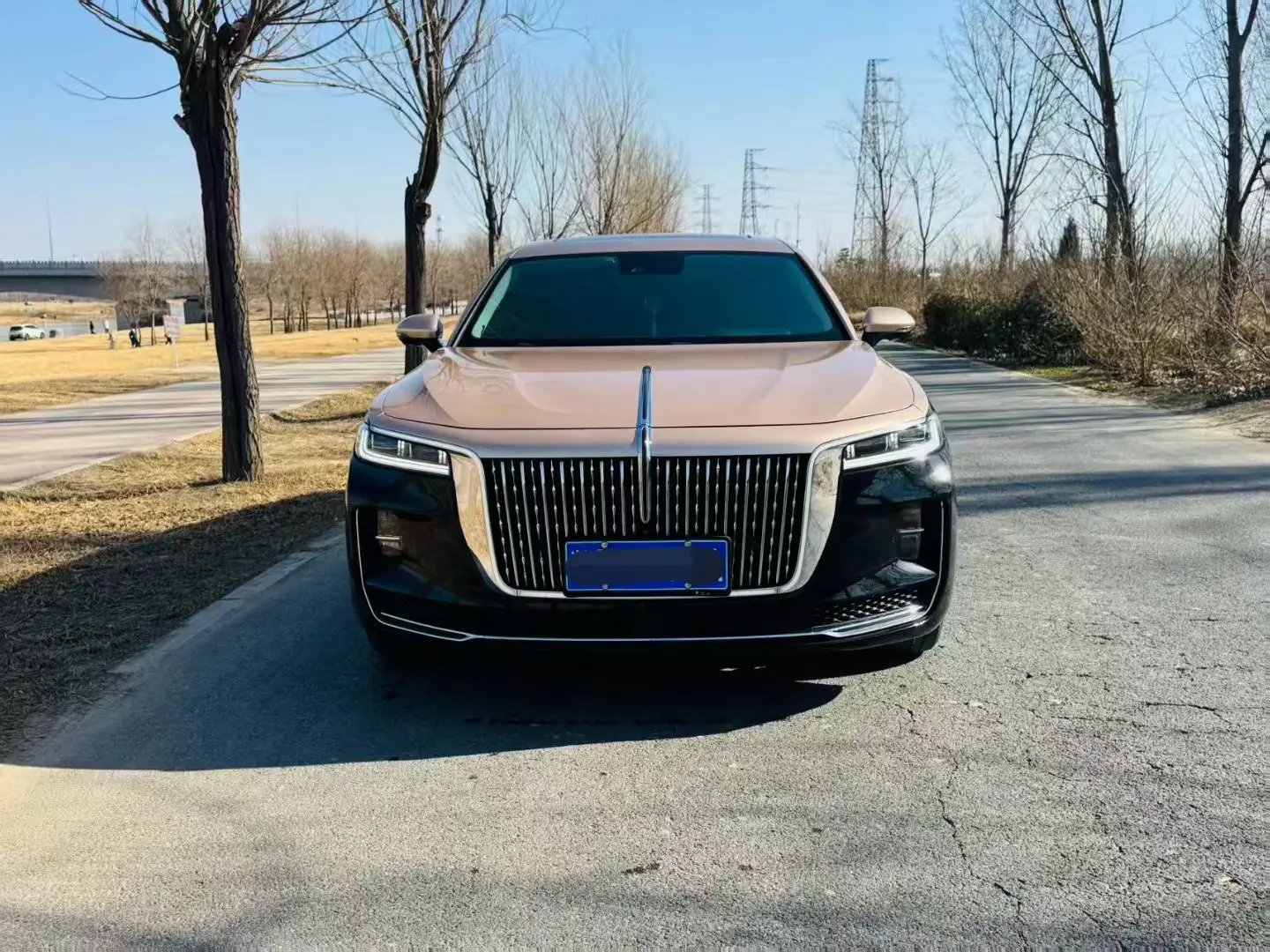 Hongqi H9  из Китая