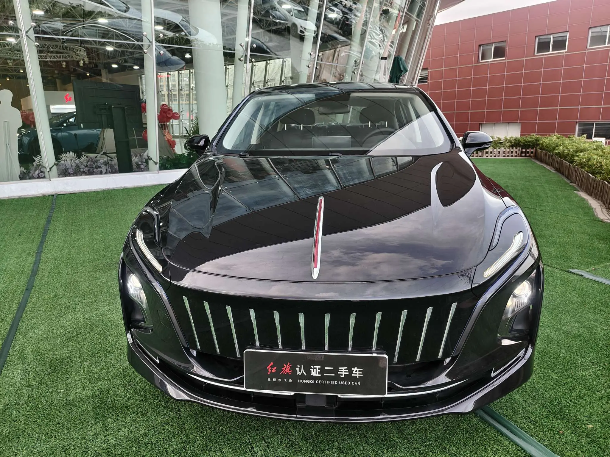 Hongqi E-QM5  из Китая