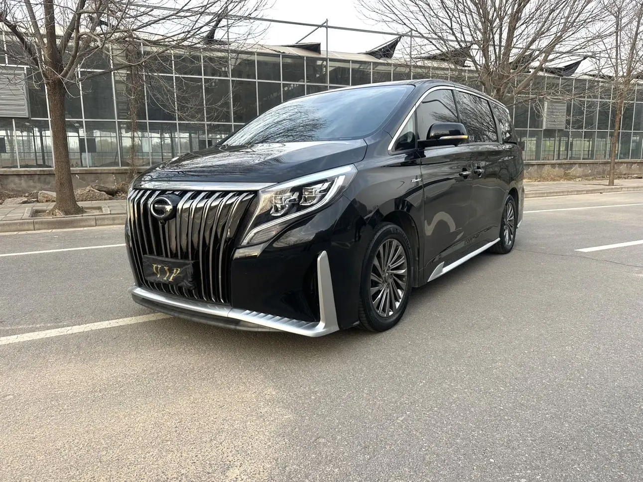 GAC Trumpchi M8  из Китая