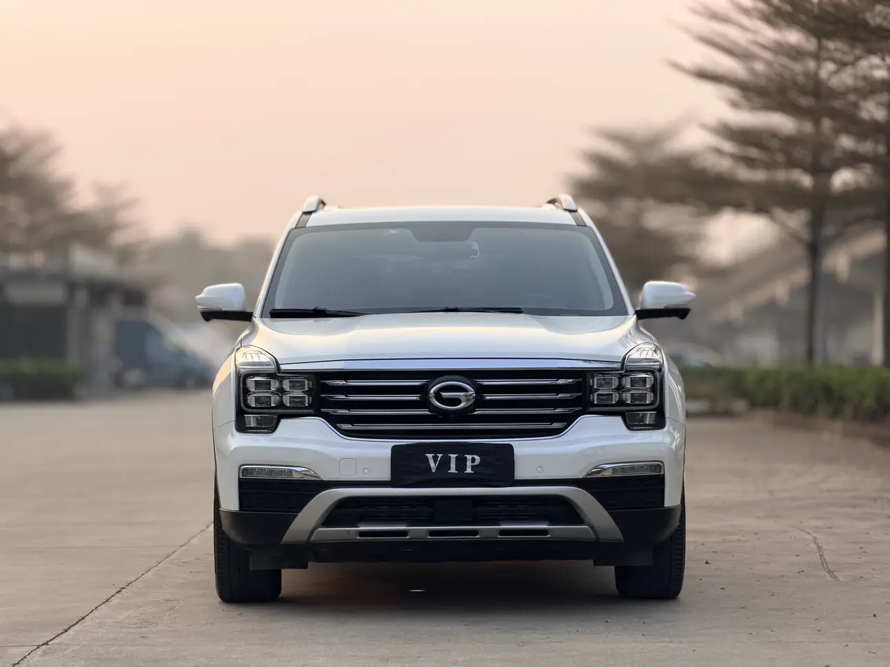 GAC Trumpchi GS8  из Китая