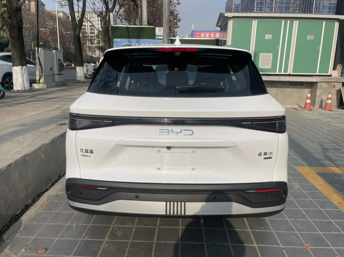 BYD Sea Lion 05DM  из Китая