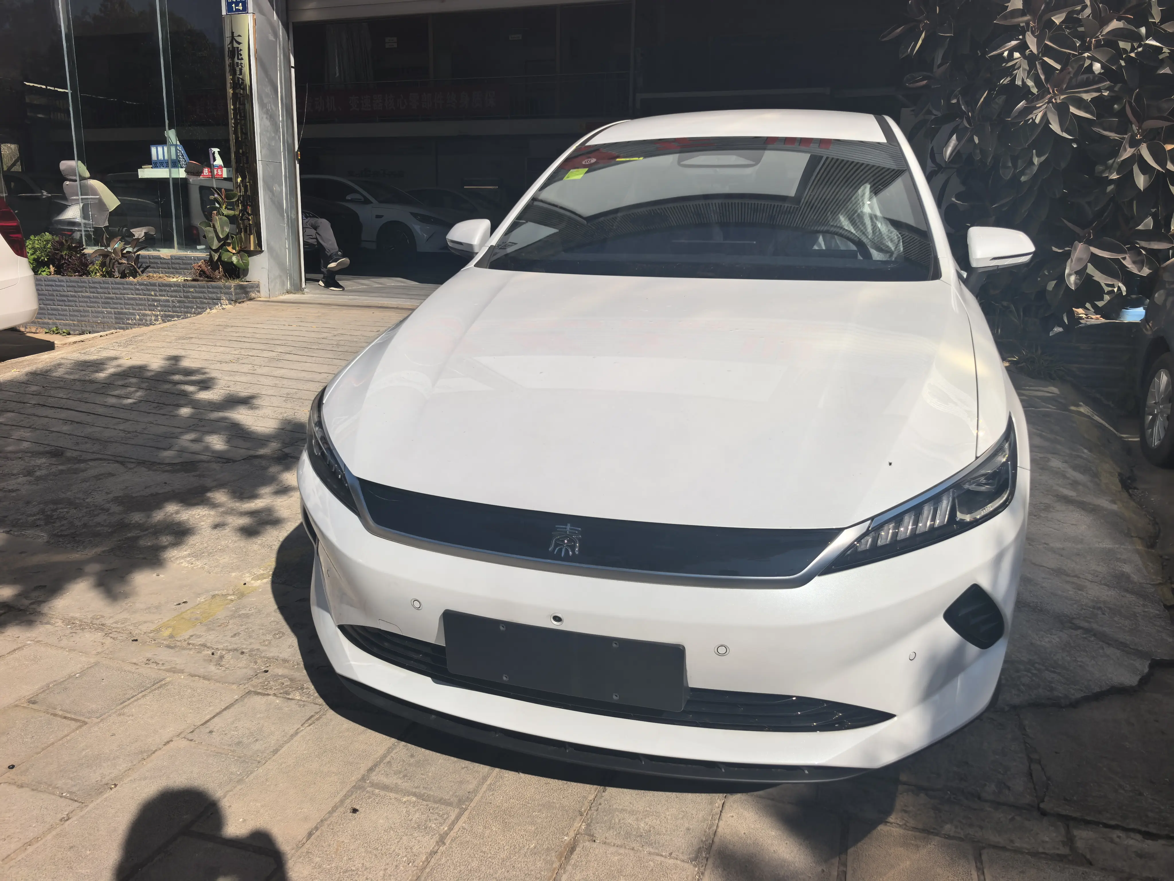 BYD Qin PLUS EV  из Китая