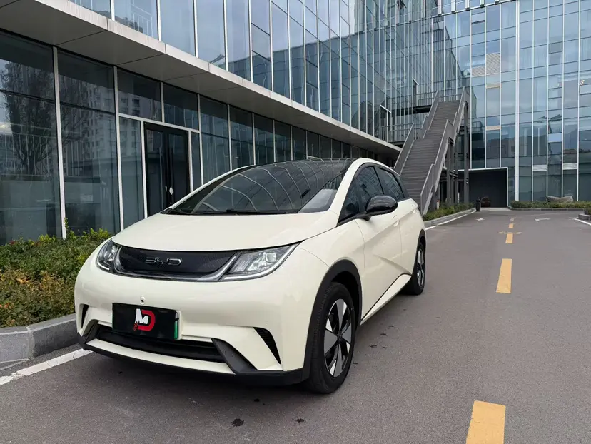 BYD Dolphin  из Китая