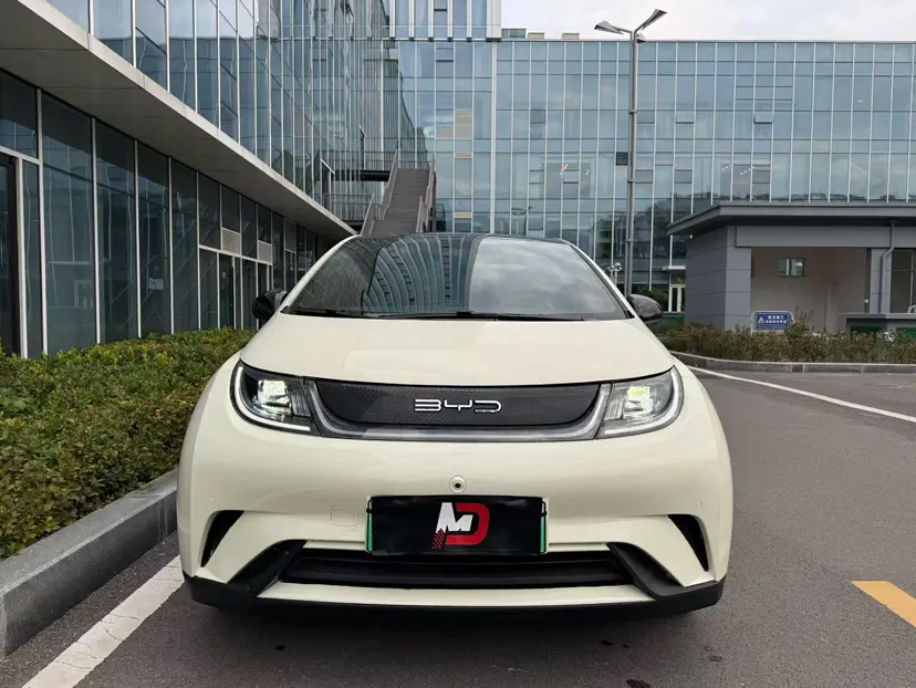 BYD Dolphin  из Китая