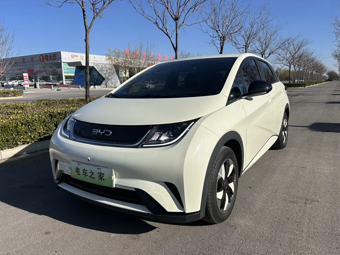BYD Dolphin  из Китая