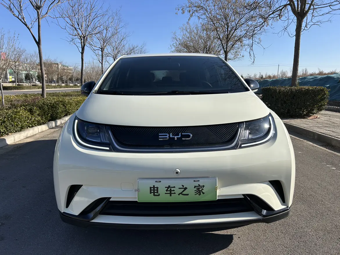 BYD Dolphin  из Китая