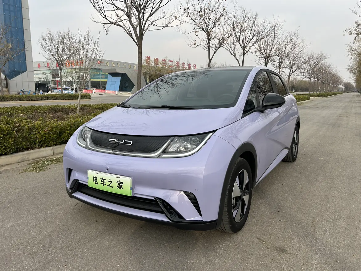 BYD Dolphin  из Китая