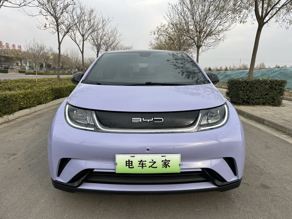 BYD Dolphin  из Китая