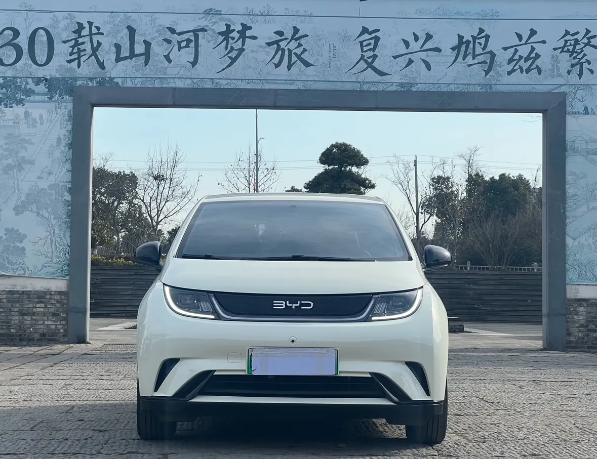 BYD Dolphin  из Китая