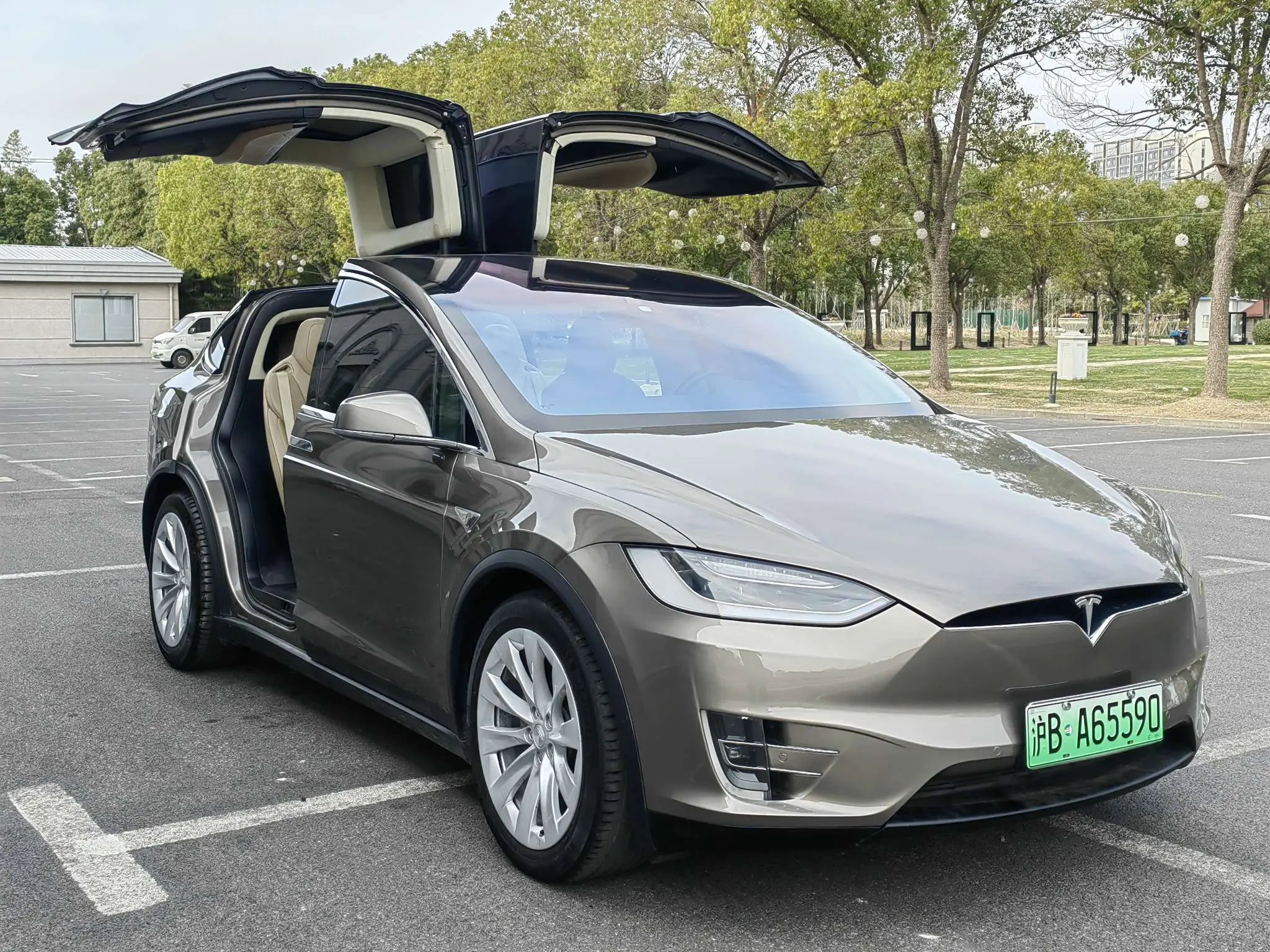 Tesla Model X  из Китая
