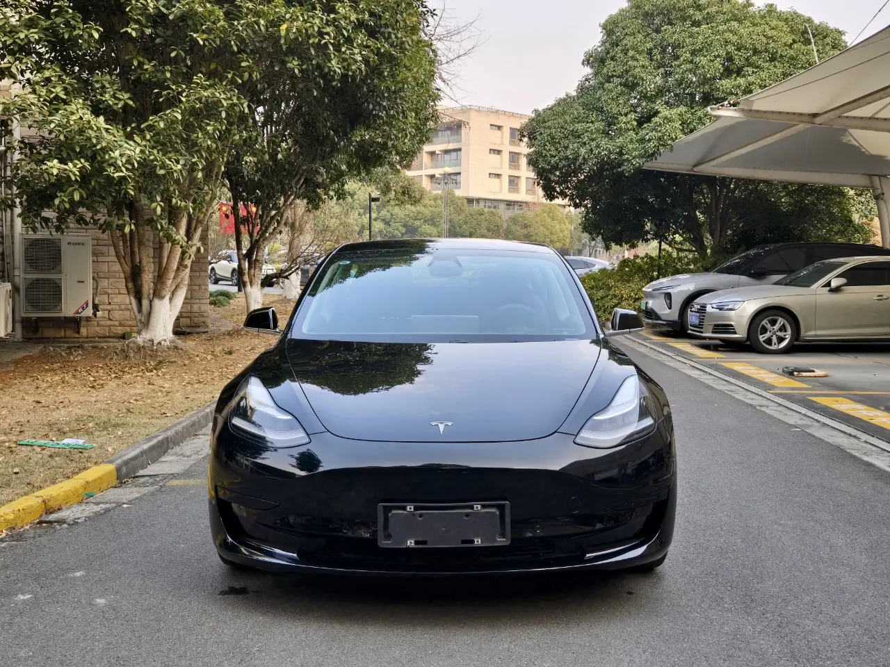 Tesla Model 3  из Китая