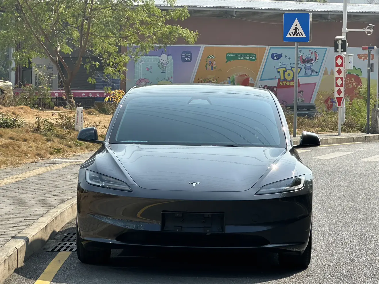 Tesla Model 3  из Китая