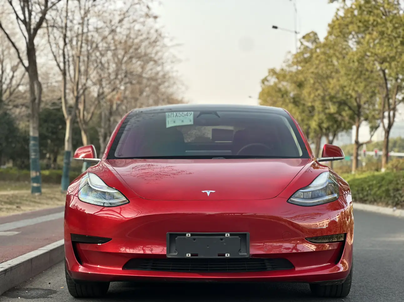 Tesla Model 3  из Китая