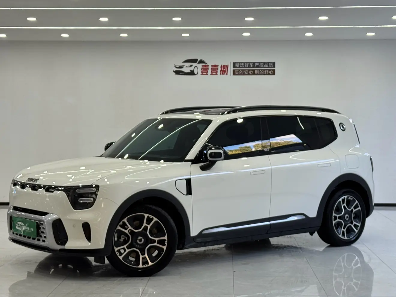 Smart Elf #5  из Китая