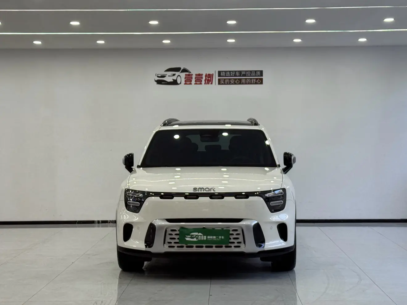 Smart Elf #5  из Китая