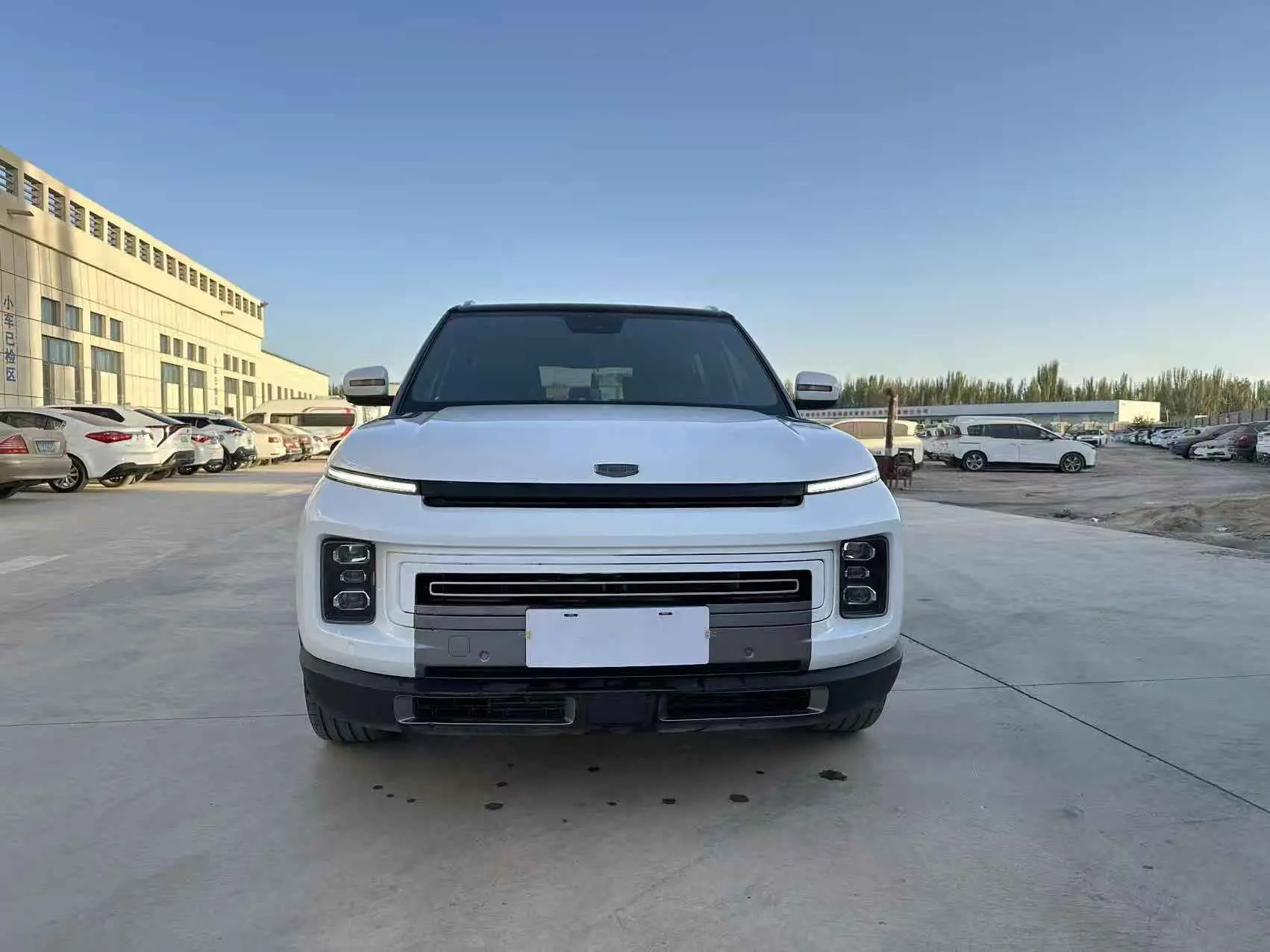 Geely ICON  из Китая