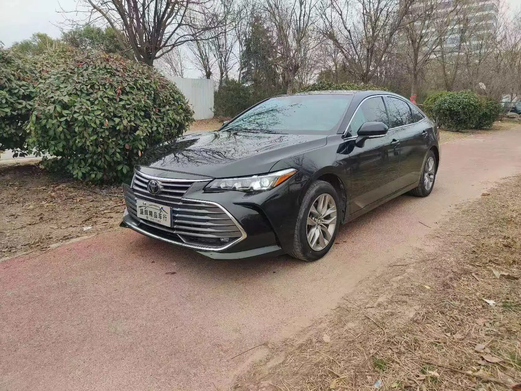 Toyota Avalon (Asian dragon)  из Китая