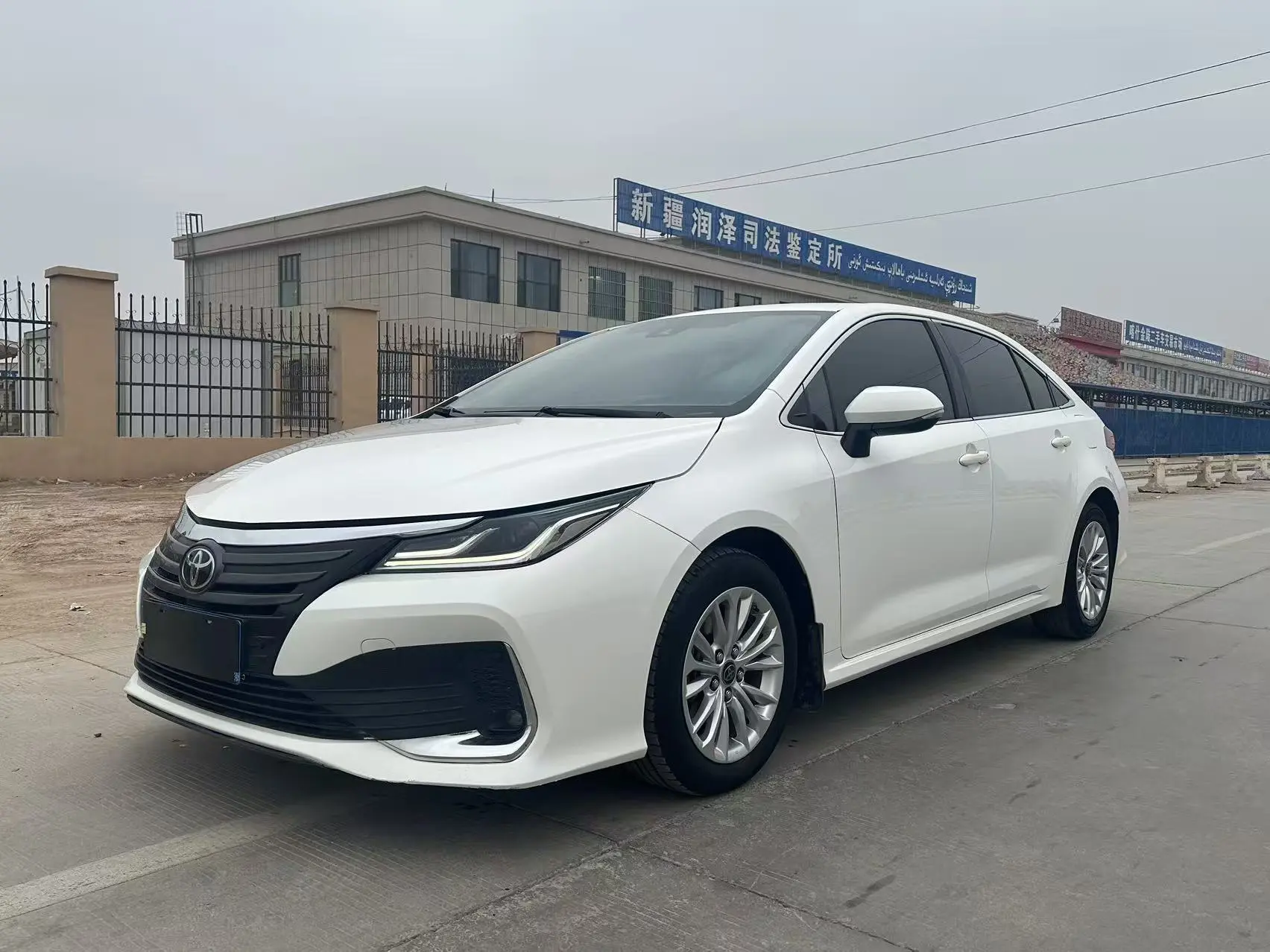 Toyota Asiatic lion  из Китая