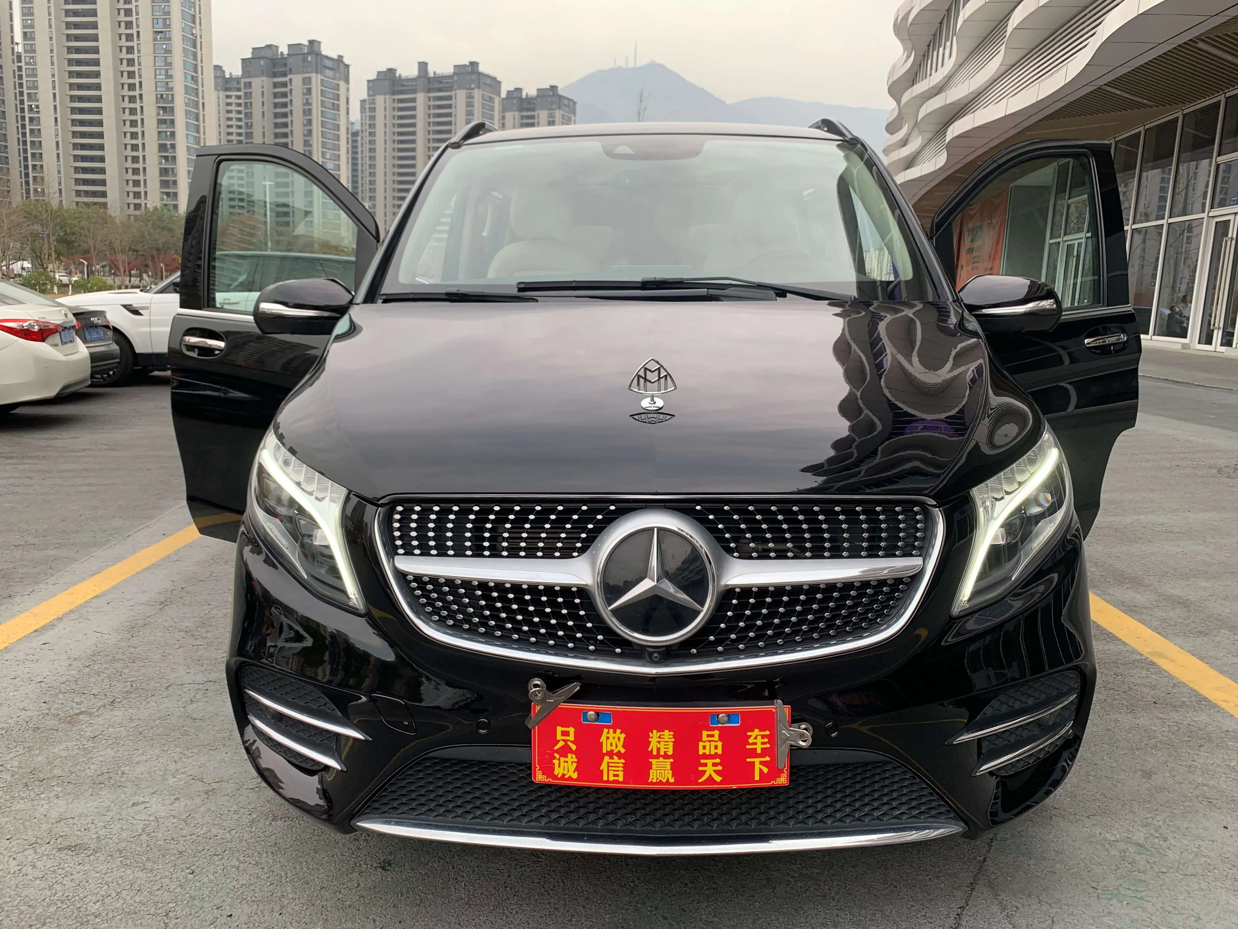 Mercedes-Benz Mercedes Benz V Class  из Китая