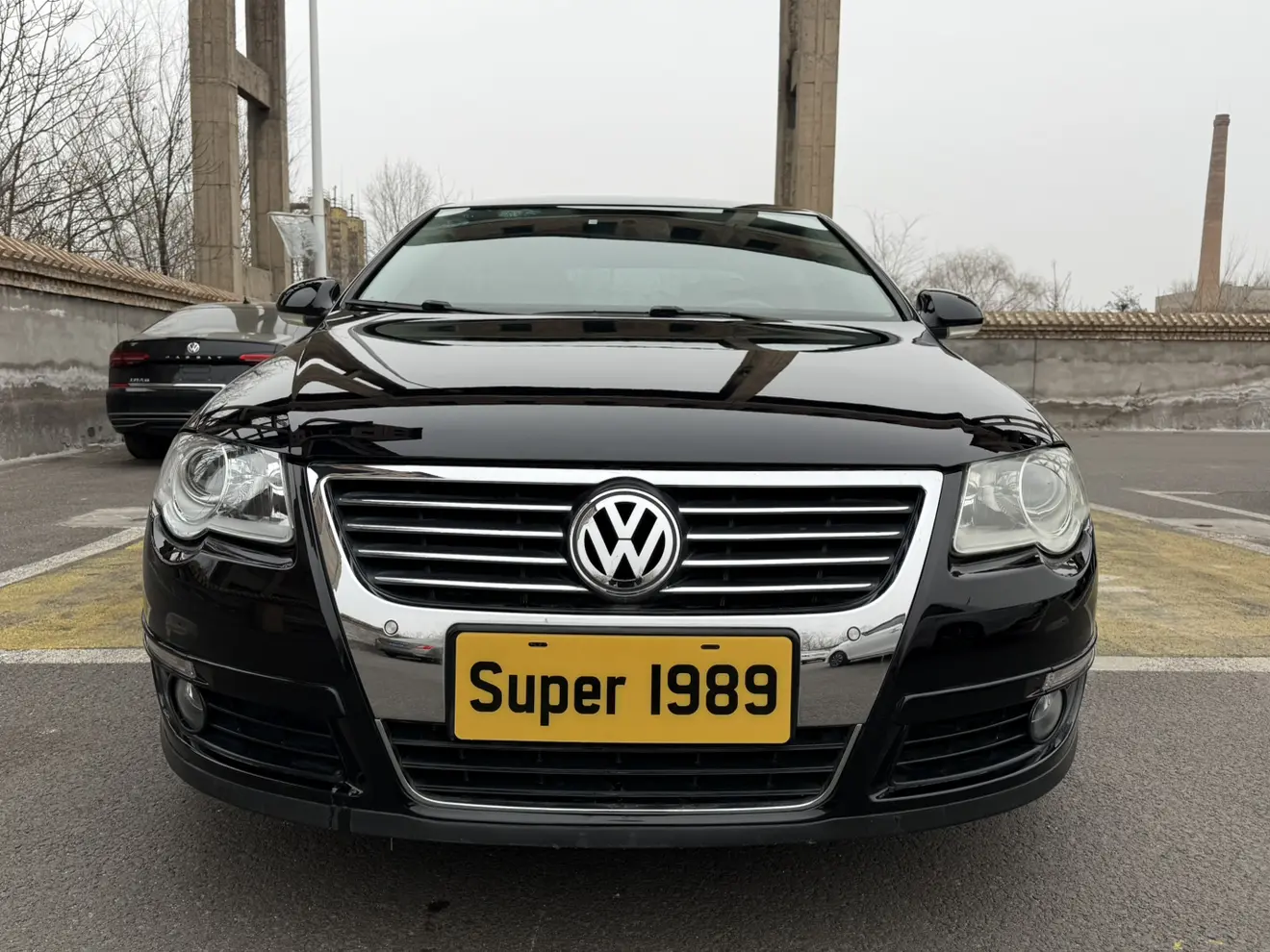 Volkswagen Magotan  из Китая